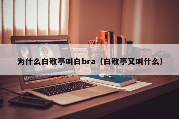 为什么白敬亭叫白bra（白敬亭又叫什么） 