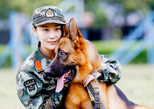 艾勒薇斯是何捷的犬吗？奇兵神犬艾勒薇斯现