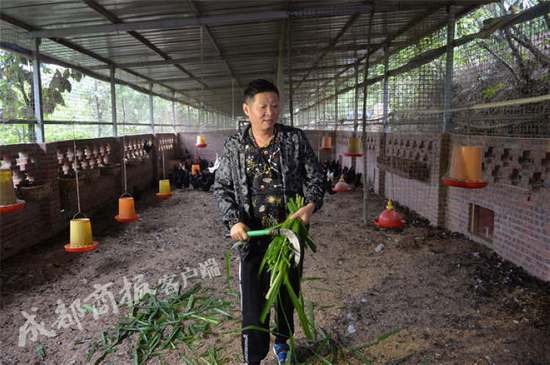 赵亮为什么养鸡？三德子赵亮在哪养公鸡