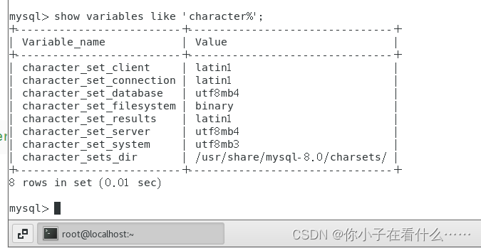 Docker安装MySql遇到的问题解决