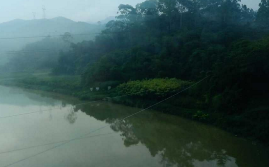 厦门哪些地方好玩  厦门有哪些值得游玩的景点