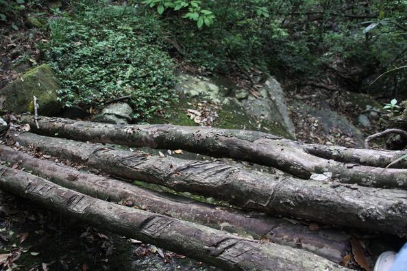 武功山最安全的路线 武功山最佳旅游时间