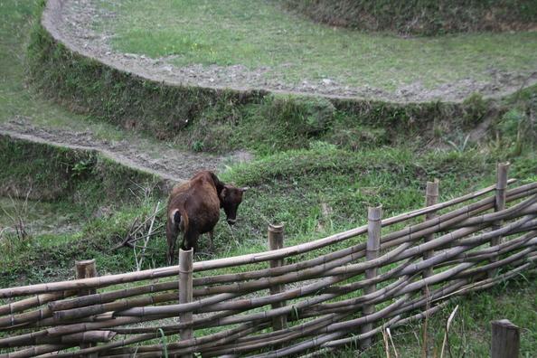 武功山最安全的路线 武功山最佳旅游时间