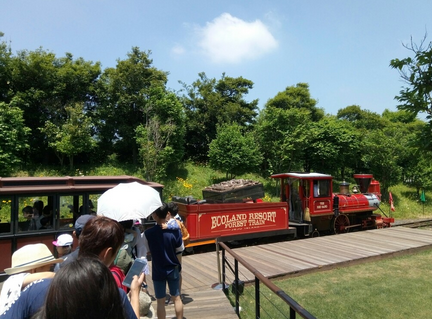 济州岛有哪些景点 济州岛自由行攻略2017