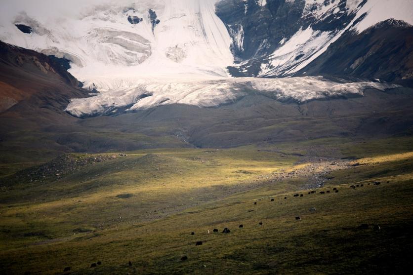 阿尼玛卿雪山景区攻略