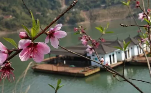 桃花湖在哪里 桃花湖入住民宿多少