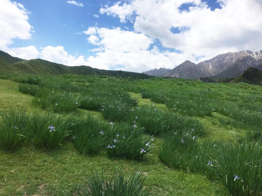 西北旅游最佳路线 西北旅游攻略