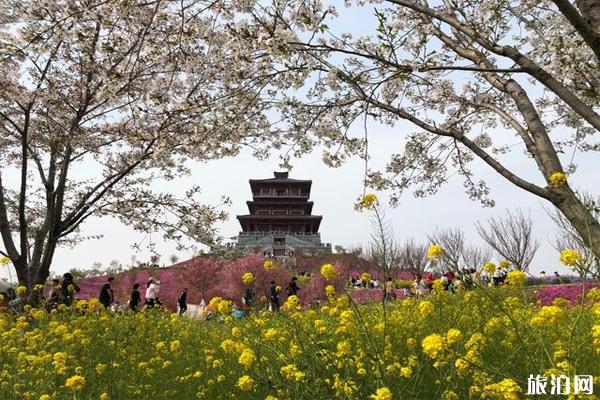 郑州丰乐樱花园门票 停车哪里方便