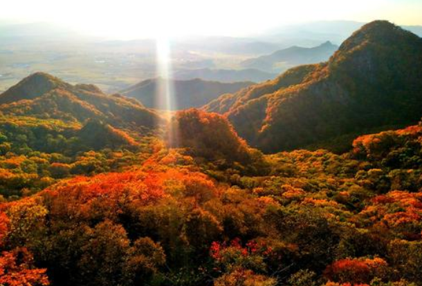 蛟河红叶谷11月还有的看吗 蛟河红叶谷一日游