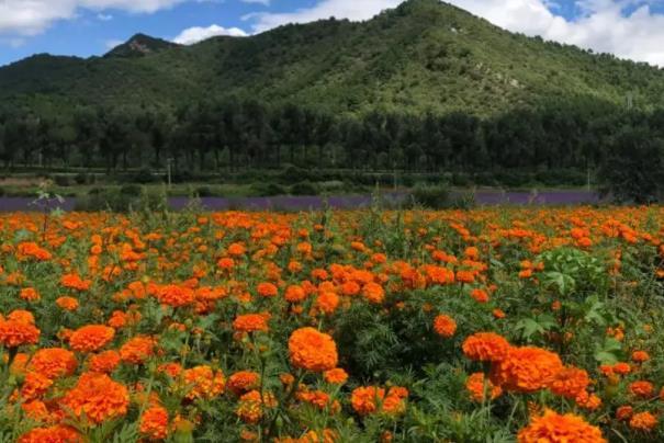 北京乡村旅游线路