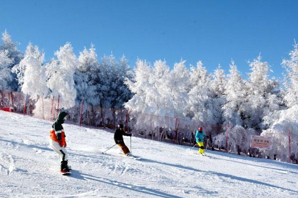 崇礼滑雪场有哪些 七大最好滑雪场介绍