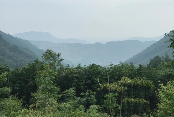 成都免费徒步旅游景点推荐