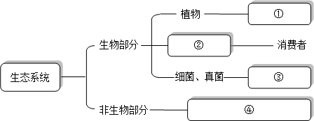 下面是生态系统的组成图解，请你补充完善：①______；②______；③______；④______．