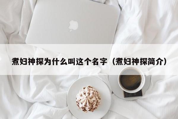 煮妇神探为什么叫这个名字（煮妇神探简介） 